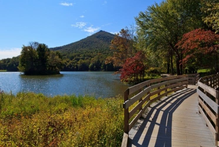 Waterfall near Blue Ridge Parkway; Photo Copyright 1998 Brian Raub image of the Peaks of Otter
