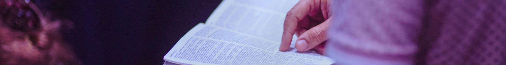 person reading the bible