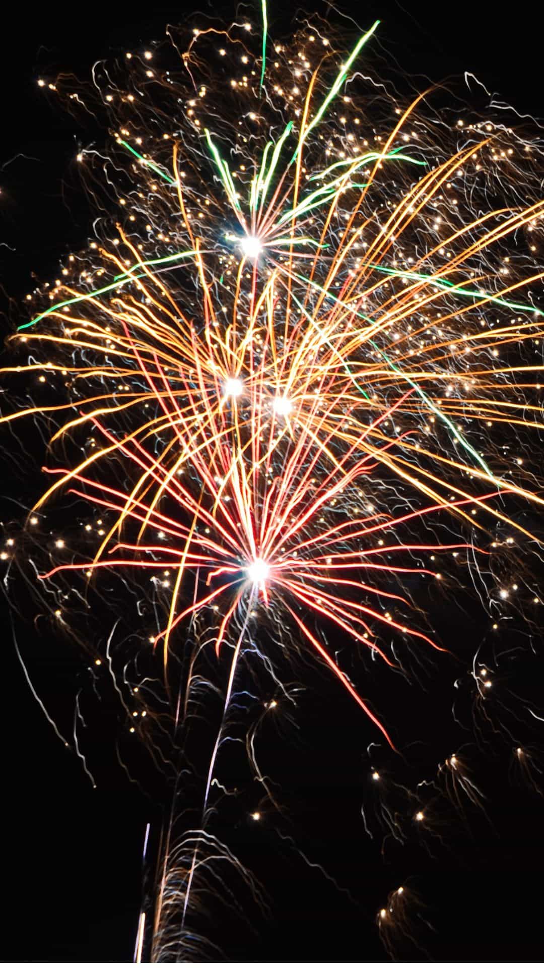 An aerial view of the beach at SML State Park