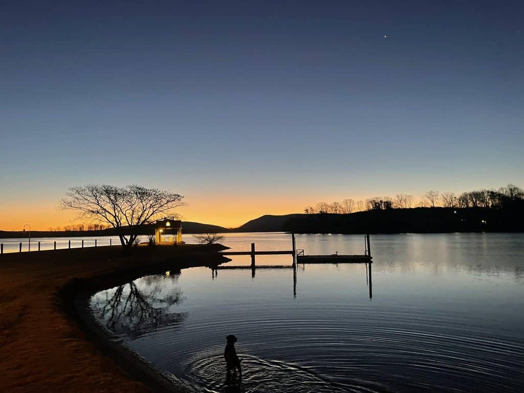 An orange sunrise over Smith Mountain with a dog in the lake foreground.